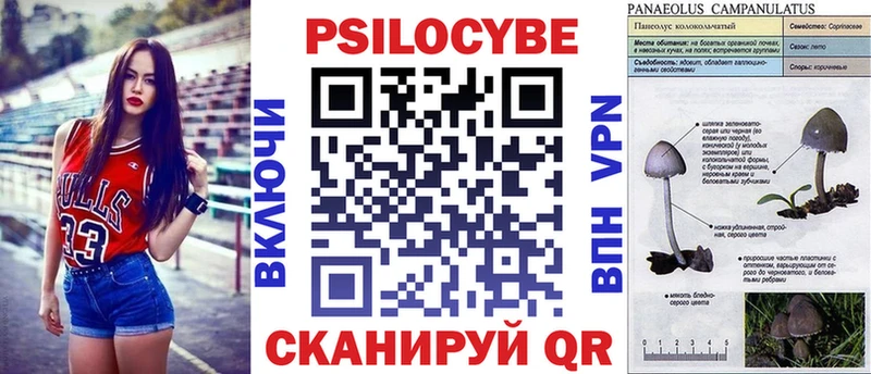 нарко площадка какой сайт  Кудрово  Псилоцибиновые грибы прущие грибы 